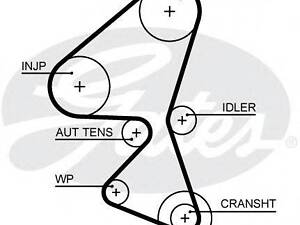 5656XS (8597-15656) Ремінь ГРМ GATES XS GATES 5656XS на FORD C-MAX II (DXA/CB7, DXA/CEU)