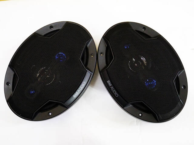 6x9 BOSCHMANN BM Audio XJ3-996B 500W 4 смугові - Фото 2