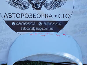 7751474289 Капот Renault Scenis 2 2003-2009 p127