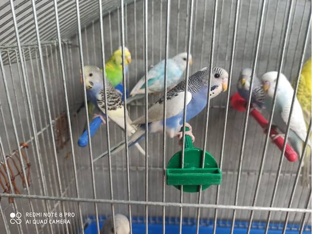 777777777777777 - Фото 4