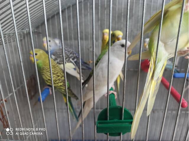 777777777777777 - Фото 5