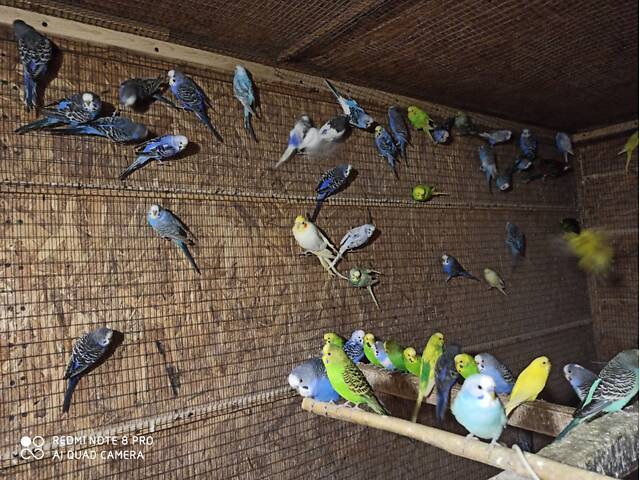 777777777777777 - Фото 1