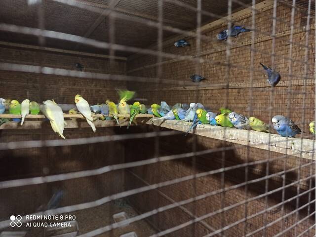 777777777777777 - Фото 3