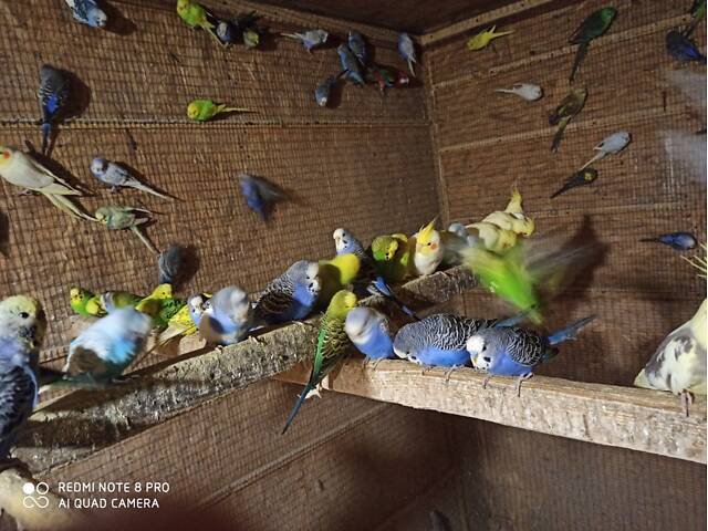 777777777777777 - Фото 2