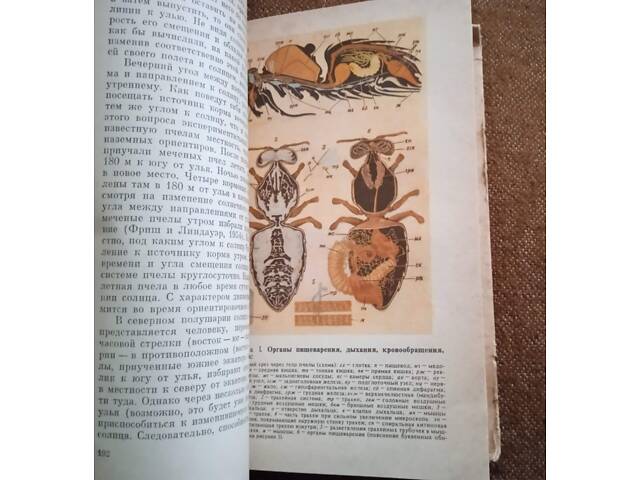 О. Васюк, М. Омельченко, 'Любителю-бджільнику' - Фото 3