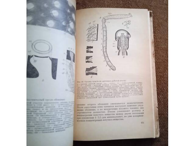 О. Васюк, М. Омельченко, 'Любителю-бджільнику' - Фото 4