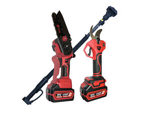 Акумуляторний садовий набір EDON STP ED SMART-21V/2K (Секатор, Пила, 2 акб по 4 А·год, штанга телескоп)