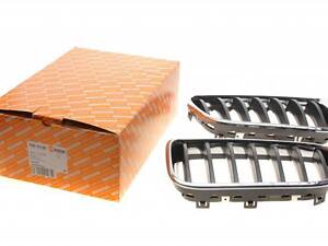 Акция Решетка радиатора BMW X3 (F25) 09-17 (к-кт) 7065135
