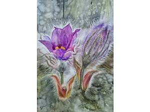 Акварель ' Сон-трава '