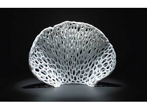 Алант Декорація Алант коралл Seashell 103х33х78 мм