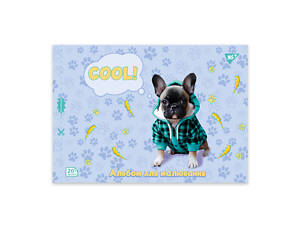 Альбом для рисования А4 скоба с перфорацией YES Dog 130603 20 листов