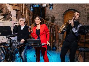 Музыканты, тамада на праздник