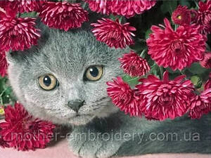 Алмазная мозаика вышивка Серый британец котенок Британская кошка короткошерстная полная 5d наборы 30х40 см