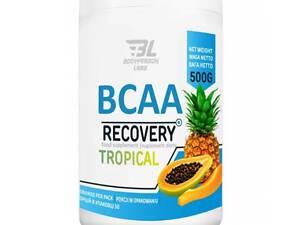 Аминокислоты Bodyperson Labs BCAA Recovery 500g (1086-100-46-5574116-20)