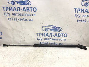 Амортизатор крышки багажника Nissan X-Trail T31 2.5 Бензин QR25DE 2008 (б/у)