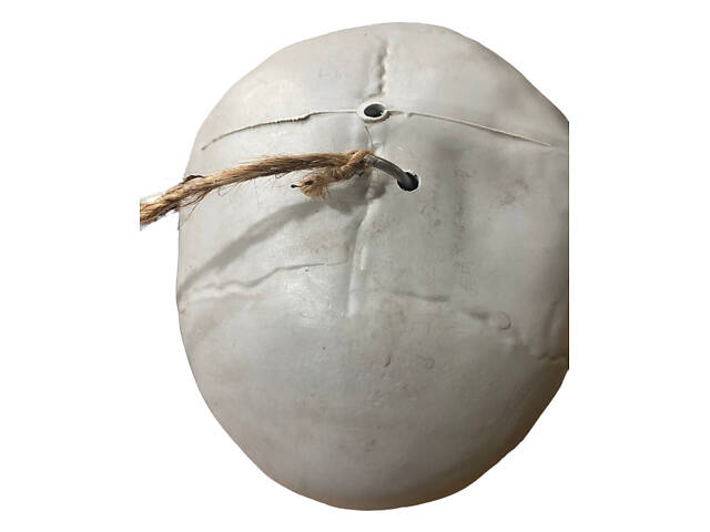 Анатомічний скелет людини RESTEQ 170 см — велика навчальна модель із ПВХ з рухомою щелепою, білий - Фото 5