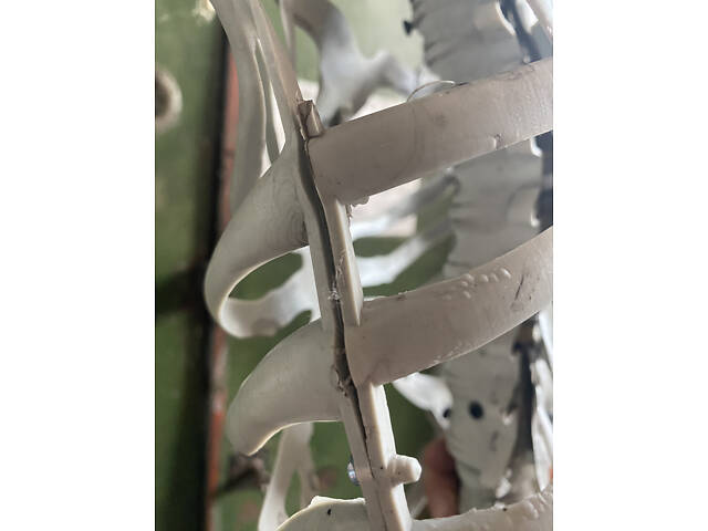 Анатомічний скелет людини RESTEQ 170 см — велика навчальна модель із ПВХ з рухомою щелепою, білий - Фото 6