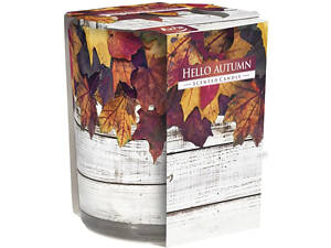 Ароматична свічка в скляному стакані Bispol Ласкаво просимо осінь (SN 72s-43)