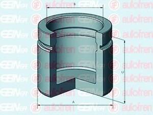 Autofren Seinsa D025296. Поршень супорта перед. T4 ATE