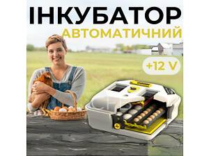 Автоматический инкубатор для цыплят Теплуша ЕВРО ИБ-88 ТЕНовый с питанием 2в1 12в от аккумулятора и 220в