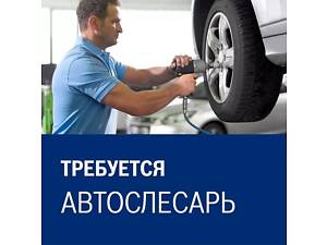 Автослюсар на дизельне СТО, дизеліст-паливник у Дніпрі