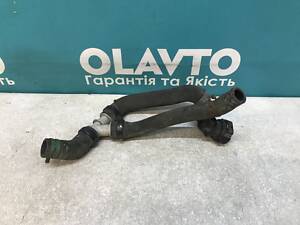 Б/у Патрубок термостата, патрубок системы охлаждения Renault Clio 3 2005-2009. 1.5 dci.