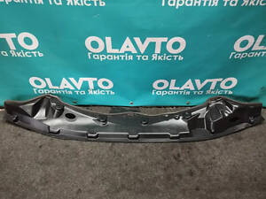 Б/у Пластик під лобове скло (жабо). Chevrolet Bolt на Chevrolet Bolt EV 2022-2023