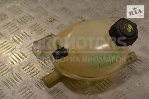 Бачок розширювальний Renault Duster 2010 217107259R 193694