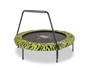 Батут тарелка, EXIT Tiggy с ручкой 140 см для детей, зелёный