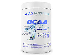 BCAA Max Support Instant - 500g Bllueberry