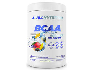 BCAA Max Support Instant - 500g Mango Blackberry