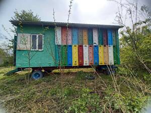 Бджолопавільйон БЕРЕНДЕЙ