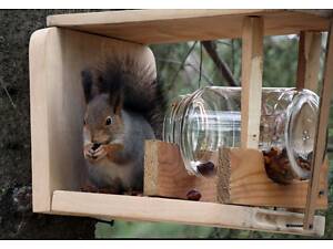 Білки від 4 місяців