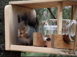 Білки від 4 місяців