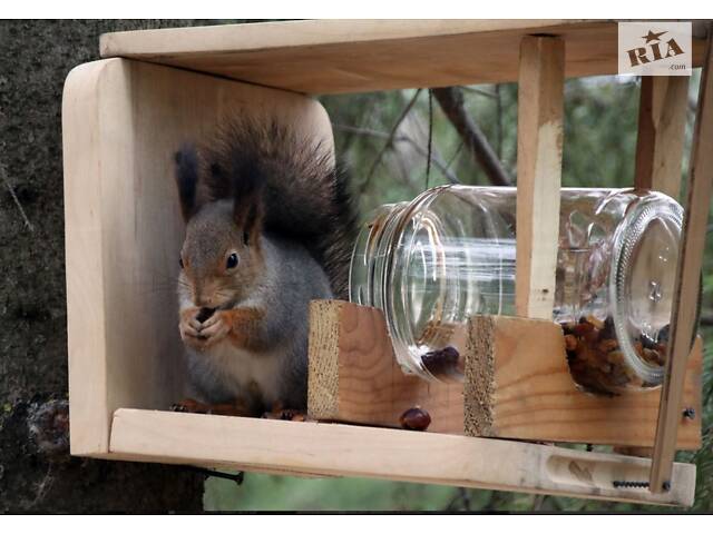 Білки від 4 місяців - Фото 1