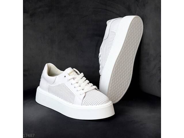 Білі перфоровані шкіряні кросівки Terra 38-40р код 17487 40, 25.5 - Фото 2