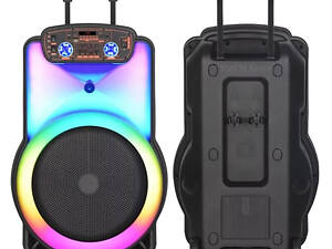 Бездротова Bluetooth-колонка NDR-Y15 15 дюймів 40 Вт з мікрофоном.