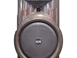 Беспроводная Bluetooth-колонка с микрофоном No Brand NDR-Y15 15 дюймов 40 Вт