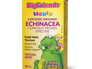 BigFriends Echinacea Alcohol-Free Fresh Herb Tincture for Kids - 50 ml