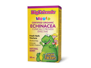 BigFriends Echinacea Alcohol-Free Fresh Herb Tincture for Kids - 50 ml