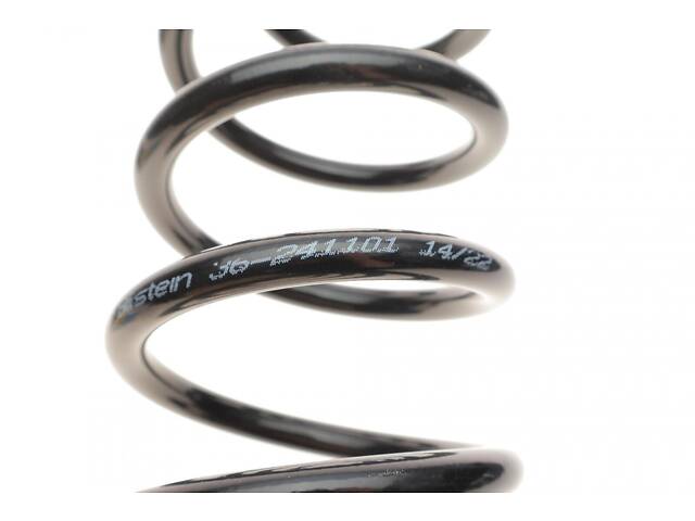 BILSTEIN 36-241101 Пружина (задняя) Seat Altea 2.0 TFSI 06-09/Audi A3 03-12 (B3) - Фото 2