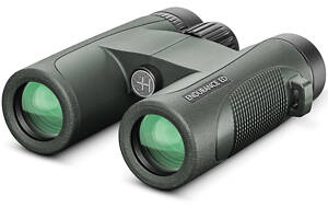 Бінокль Hawke Endurance ED 8x32 Binocular Green (36201)