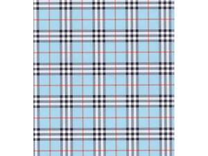 Блокнот Buromax spiral top, А5, 48 аркушів, клітинка, синій (BM.2470-02)