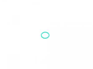 BMW 17227581147 Прокладка крышки горловины маслозаливной BMW 1 (E81/E82/E87/E88)/3 (E90-E93)/X1 (E84) 08- N47/N43