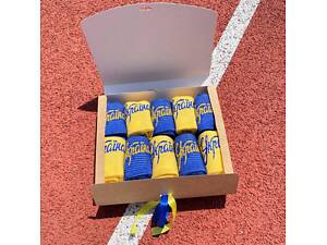 Бокс патріотичних жіночих шкарпеток Україна 10 пар 36-41р у подарунковій коробці