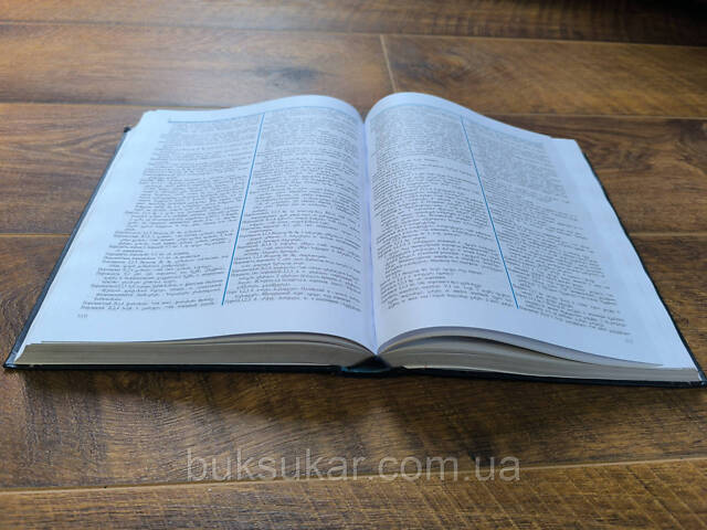 Большой Русско-грузинский словарь с грамматическим справочником - Фото 5