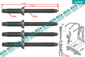 Болт/гвинт кріплення форсунки 1шт 198283 Citroen/СІТРОЕН JUMPY III 2007-/ДЖАМПІ 3, Citroen/СІТРОЕН BERLINGO (M59)