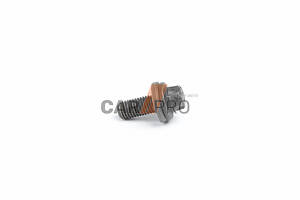 Болт шестеренки распредвала, BMW 1.6/2.0D 04- (M7x17.3mm)