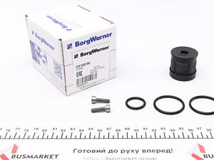 BORGWARNER DS108190 Фільтр масляний диференціал Volvo S60 2.4/2.5 01-10 (к-кт)