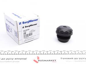 BORGWARNER DS120359 Фільтр масляний дифференціал Skoda Octavia/VW Bora/Golf IV/Sharan 96-10 (к-кт)